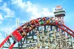 EXCLUSIVE: Six Flags Over Texas Fall Admission + Unlimited Drinks – 45% Off (Limited-Time Offer) - Second Medium