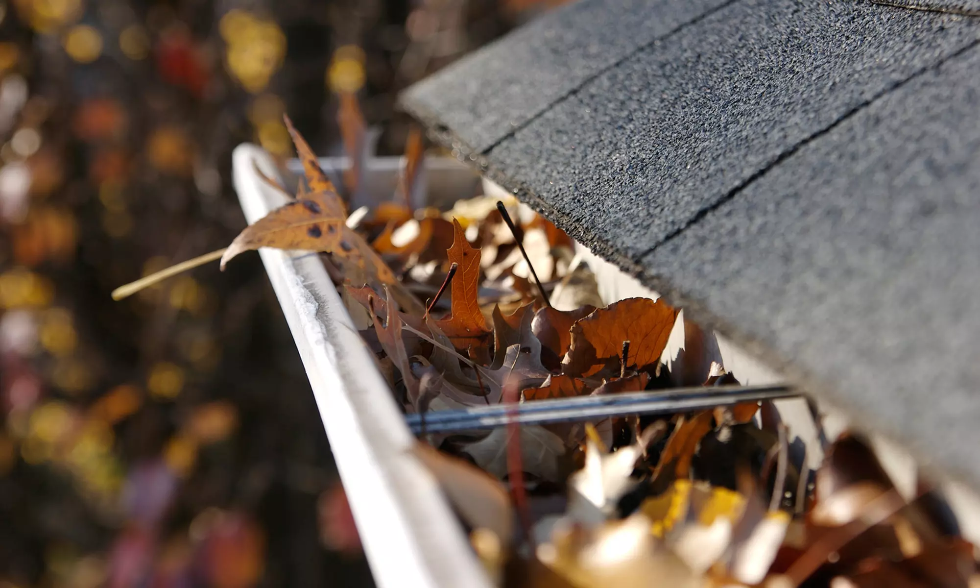 $75 for 150 Feet of Gutter Cleaning from Gutter Brothers ($150 Value) - Primary Image