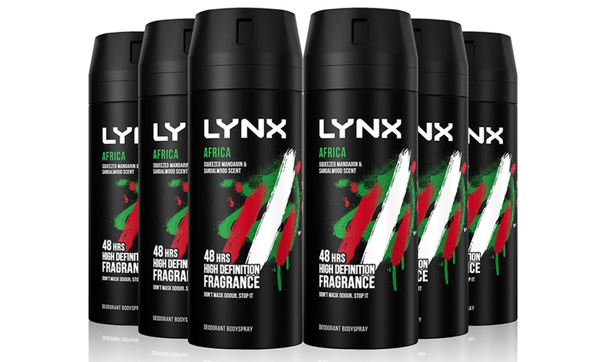 Up To 34% Off Six-Pack of Lynx Deodorant Body Sprays | Groupon