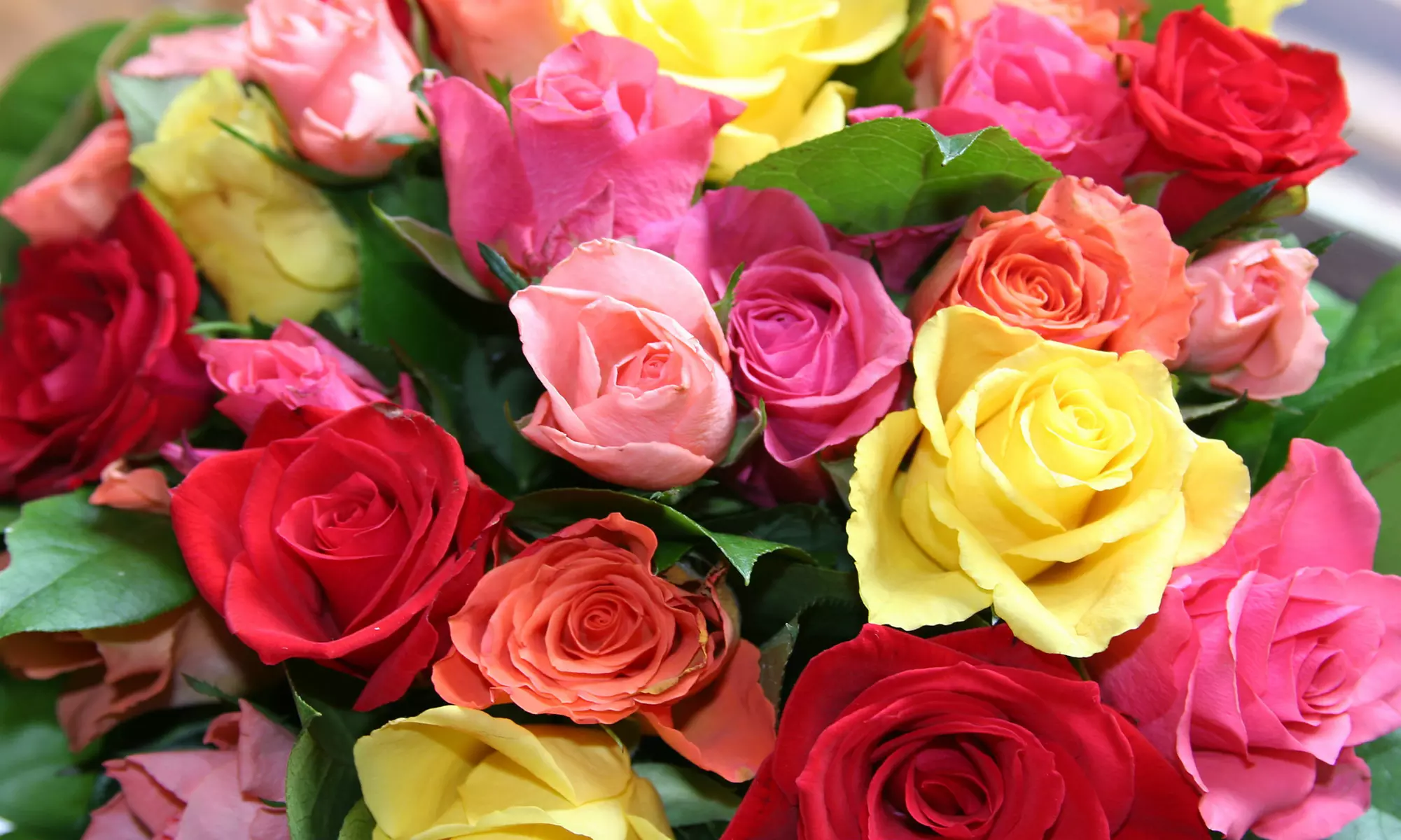 $15 for $30 Worth of Flower Bouquets and Arrangements at University Flower Shop - Primary Image