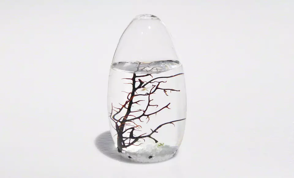 $49.99 for an EcoSphere Small Pod ($79 List Price). Free Shipping and Returns. - Second Medium