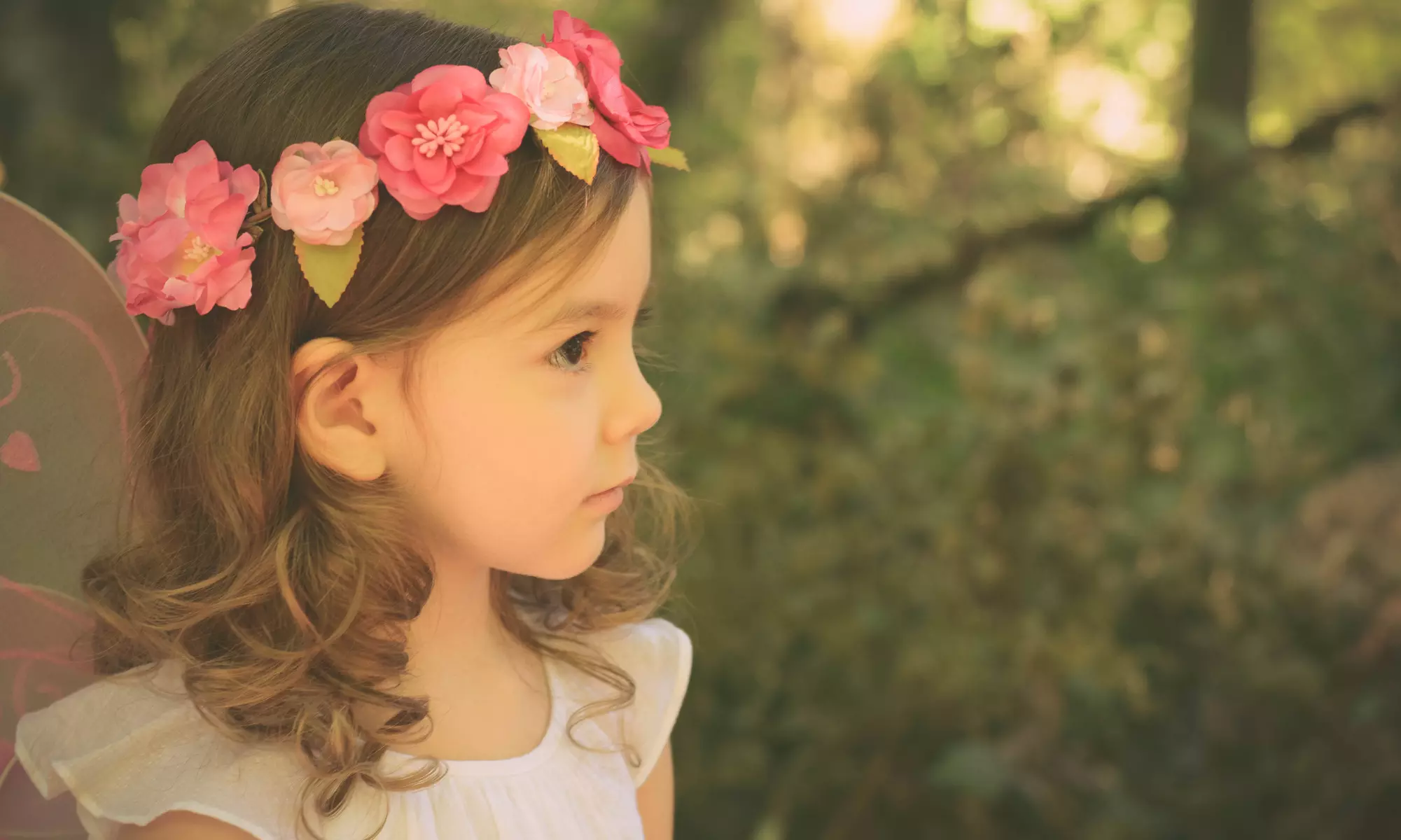 60-Minute Family Photo Shoot from Wise Owl Photography (70% Off) - Primary Image