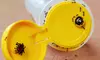 $50 for Interior and Exterior Insect-Control Treatment from Hydrex Pest Control ($175 Value)