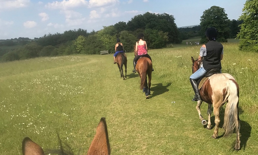 Image 3: Horse Riding for Two