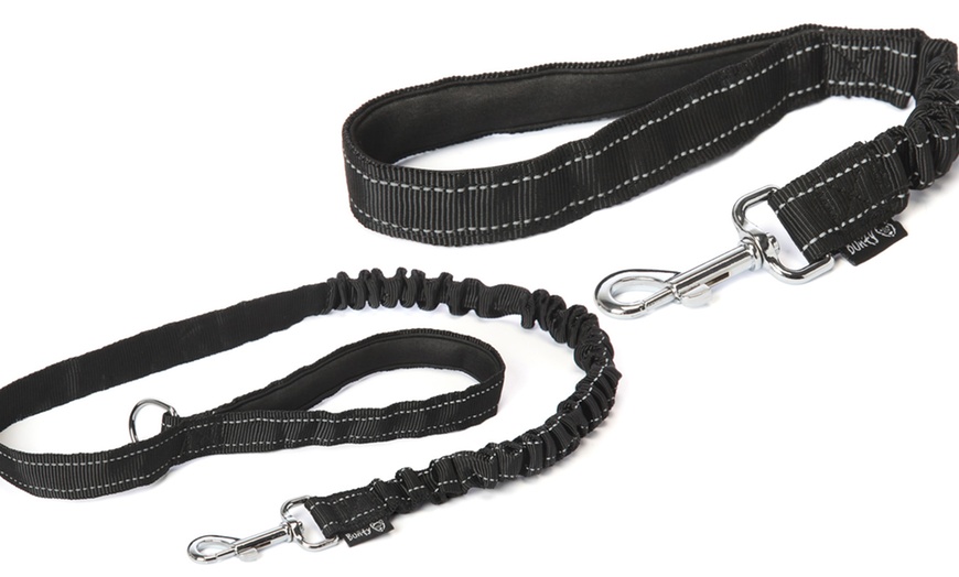 Image 1: Bunty Anti-Shock Dog Lead