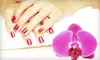 No-Chip French or Shellac No-Chip Manicure at Coco Beach Tanning Studio (Up to 51% Off)