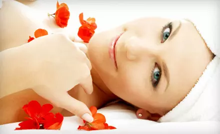 $59 for $120 Worth of Massages, Facials, and Other Spa Services at The Salon & Day Spa at The Scottsdale Plaza Resort - Primary Image