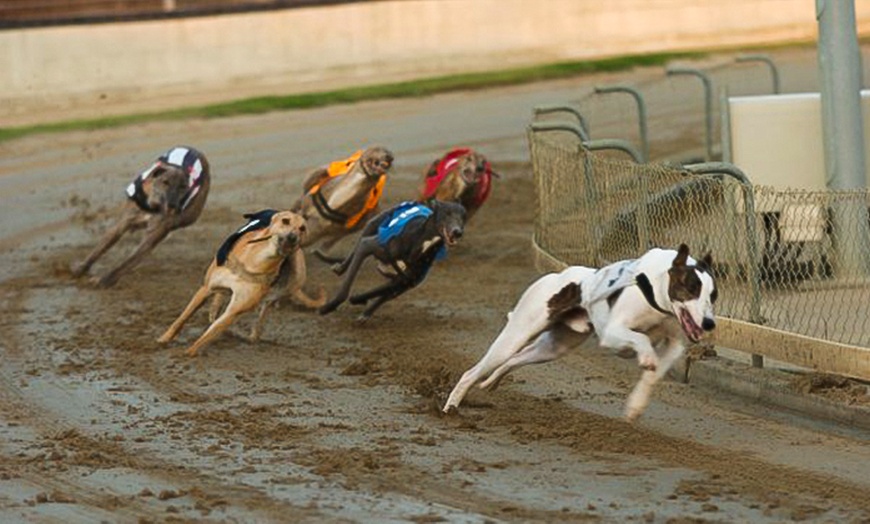 Image 2: Dog Racing, Yarmouth Stadium