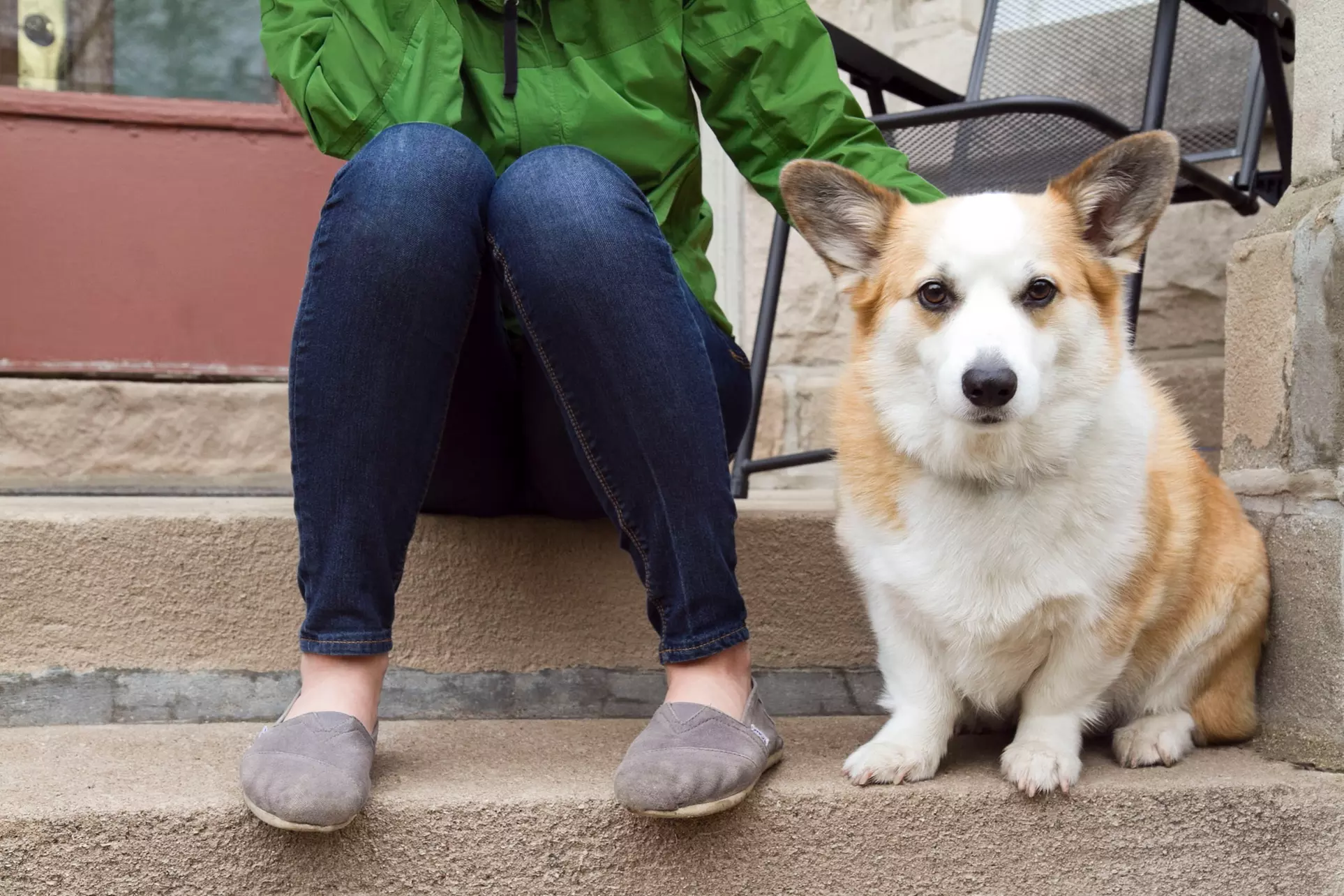 $225 for Five At-Home Dog-Training Sessions from My Confident Canine LLC ($425 Value) - Primary Image