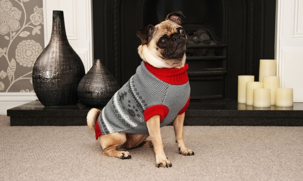 fairisle christmas dog jumper