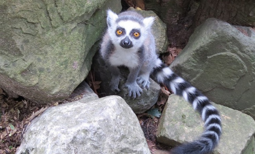 Image 2: Papegaaienpark - ZOO Veldhoven