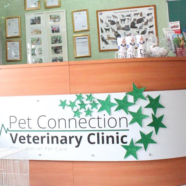 Annual Vaccination For Cat Or Dog Pet Connection Veterinary Clinic Groupon