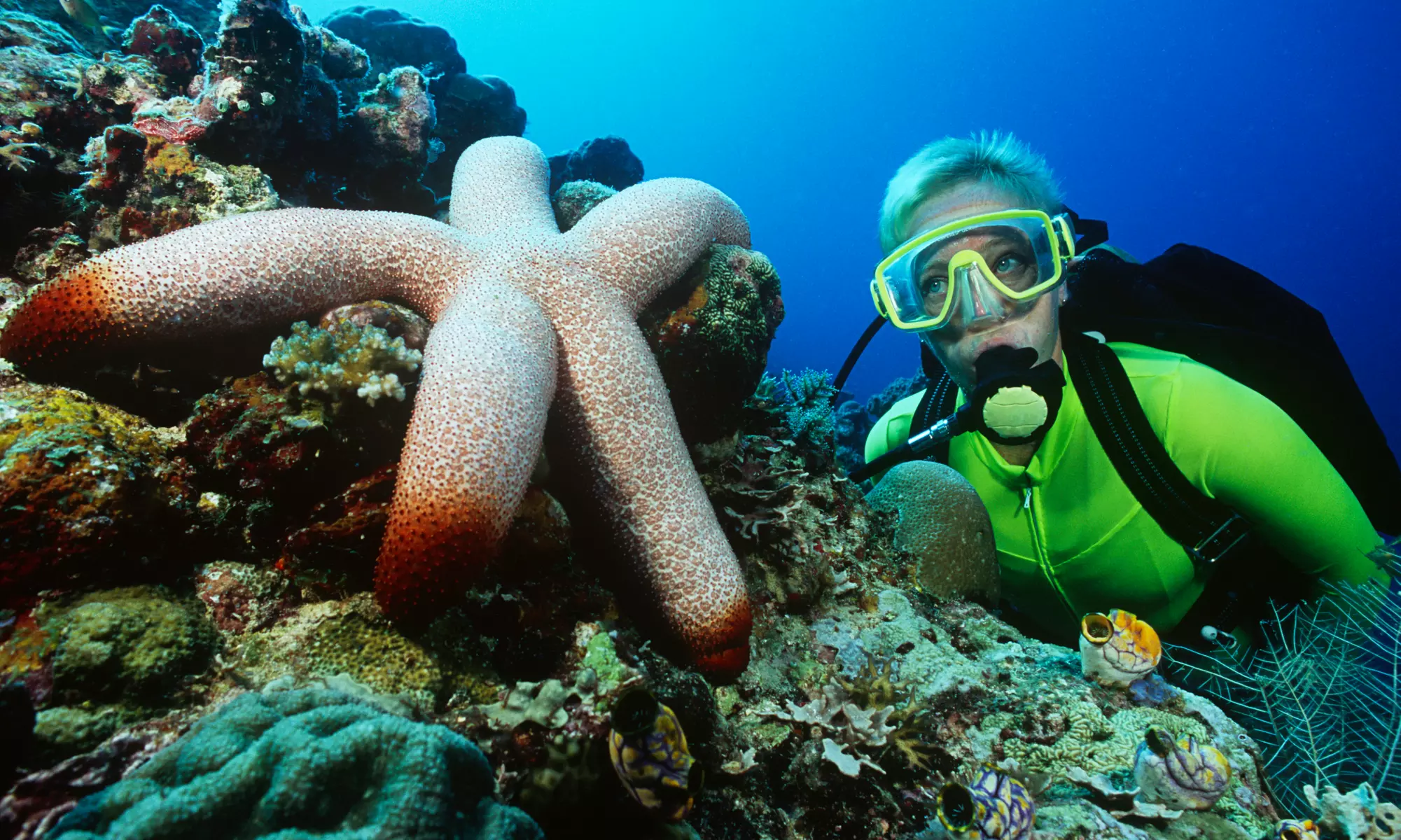 $26 for Discover Scuba or Snorkeling Lesson at Try Scuba ($99 Value)  - Primary Image