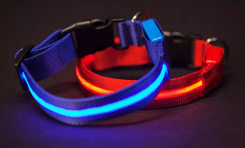 Series 5000 Ultra-Bright LED Collars and Leashes - Primary Image