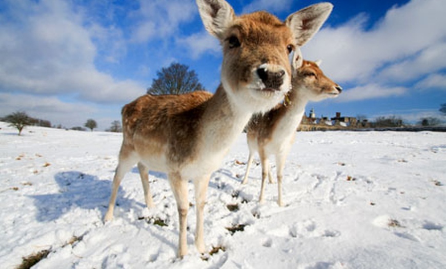 Image 1: Winter Wonder Farm Entry