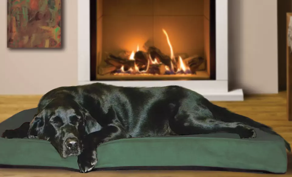NAP Deluxe Gusseted Orthopedic Pet Beds. Multiple Sizes from $18.99–$36.99. Free Returns. - Primary Image