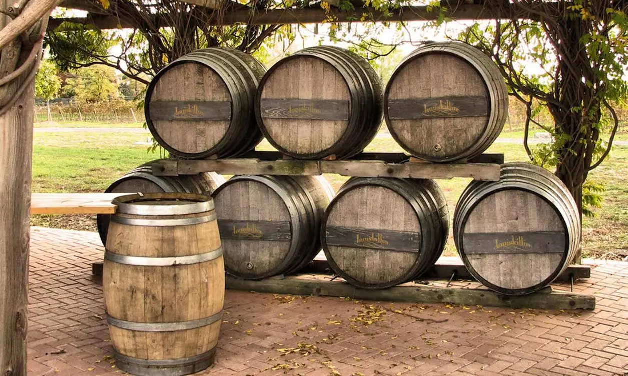C$39 for a Wine-Tasting Package for Two from Elite Tours of Niagara Falls (C$150 Value) - Primary Image