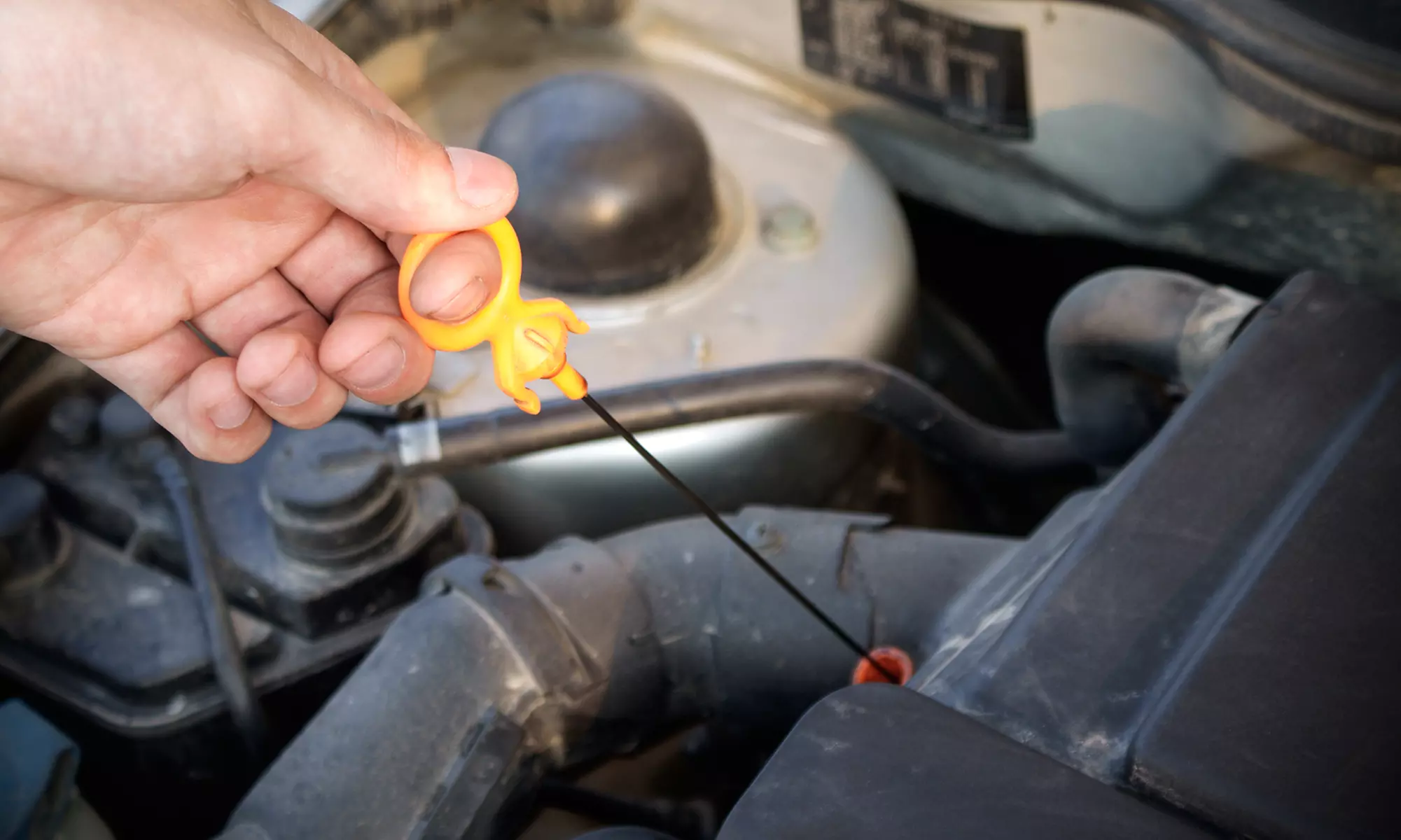 $39 for Two Standard Oil Changes with Tire Rotations at Howard Orloff Imports ($139.90 Value) - Primary Image