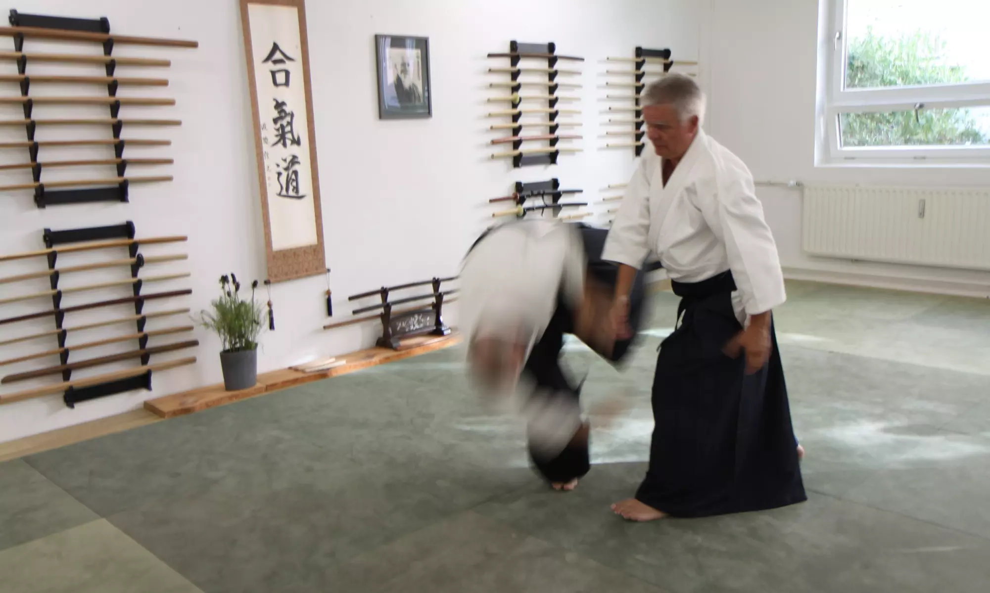 Aikido-Kurs für Erwachsene