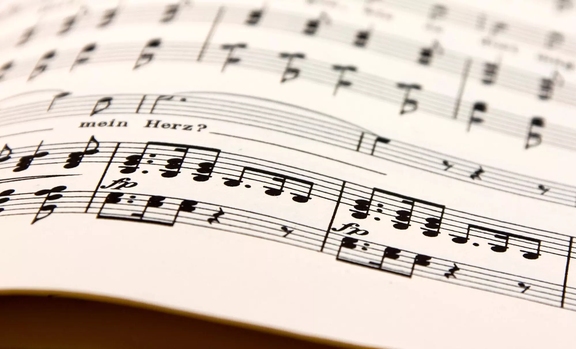Four Private Instrument Lessons at Cello Lessons (50% Off) - Primary Image