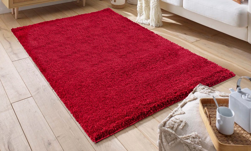 Image 31: Modern Thick Shaggy Rug in 10 Colours