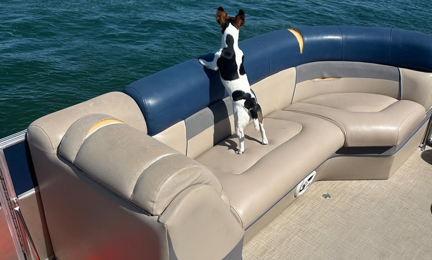 Image 4: Relaxing Two-or Four-Hour Luxury Pontoon Tour for Six People