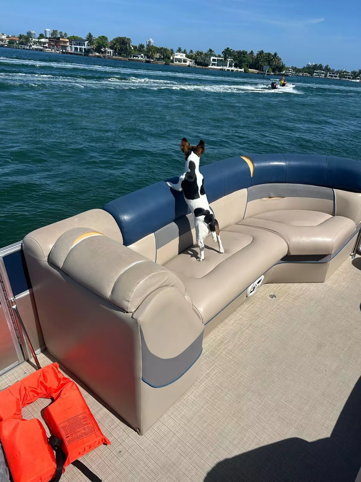 Relaxing Two-or Four-Hour Luxury Pontoon Tour for Six People