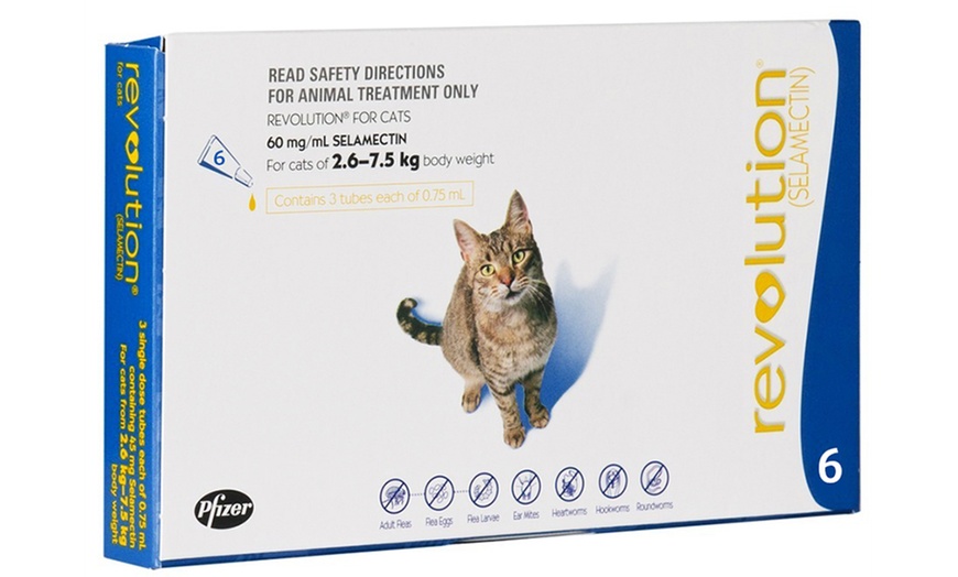 Image 4: Revolution® Flea Treatment 