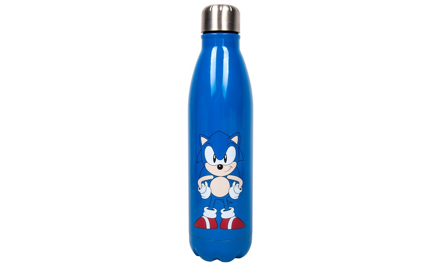 Image 9: Double-Walled 500ml Water Bottles