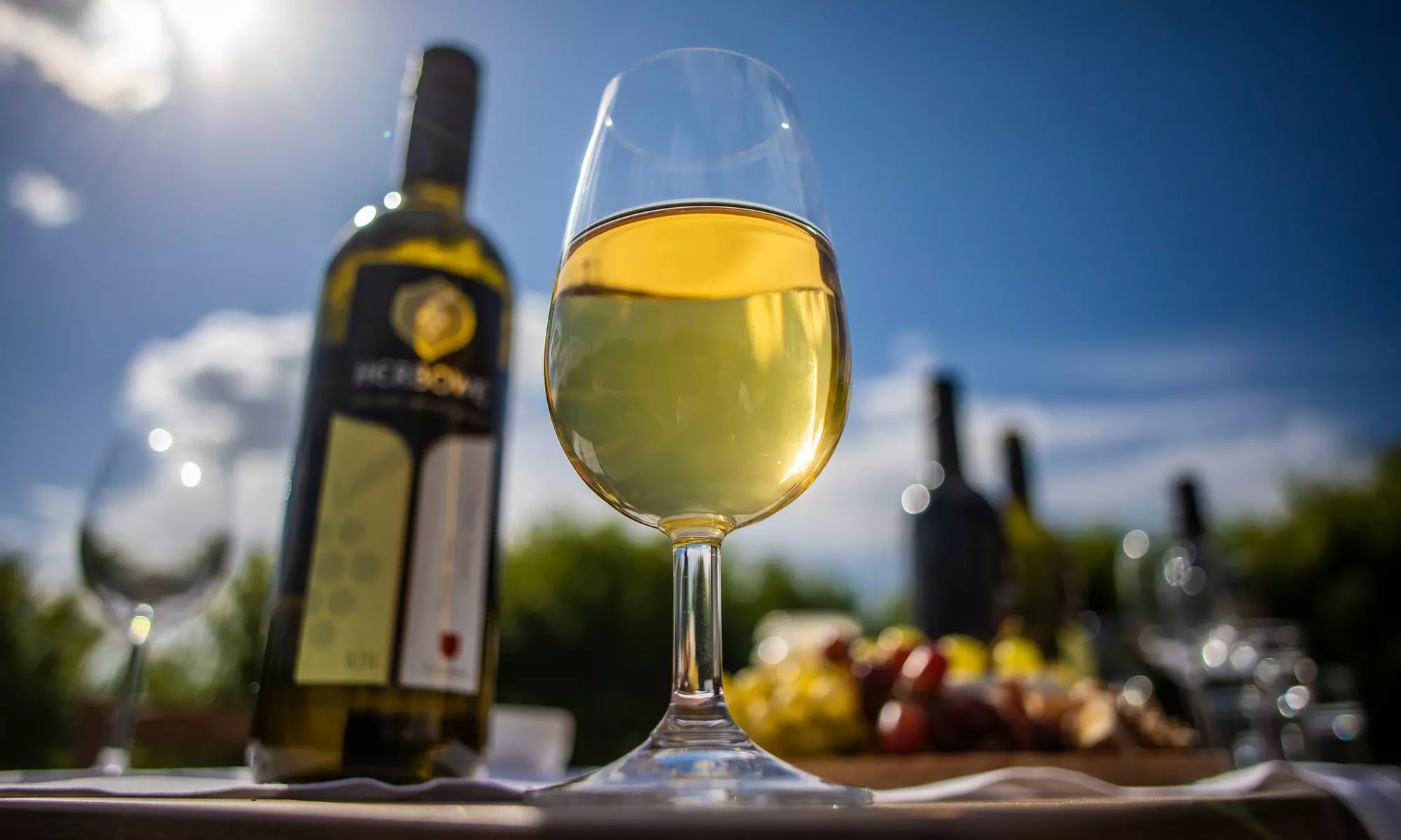 Odkryj tajemnice winiarstwa: Zwiedzanie Winnicy Zbrodzice z degustacją