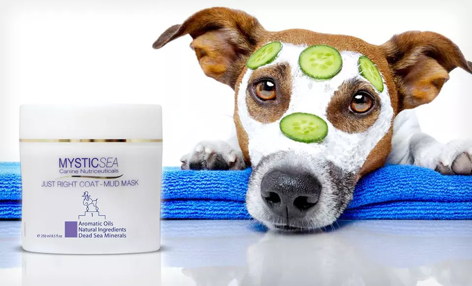 $9.99 for an 8.5 Fl. Oz. Bottle of Mystic Sea Just Right Dog-Coat Mud Mask ($30.85 List Price). Free Returns. - Primary Image