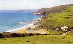 Tintagel: 2-3 Nights with Breakfast