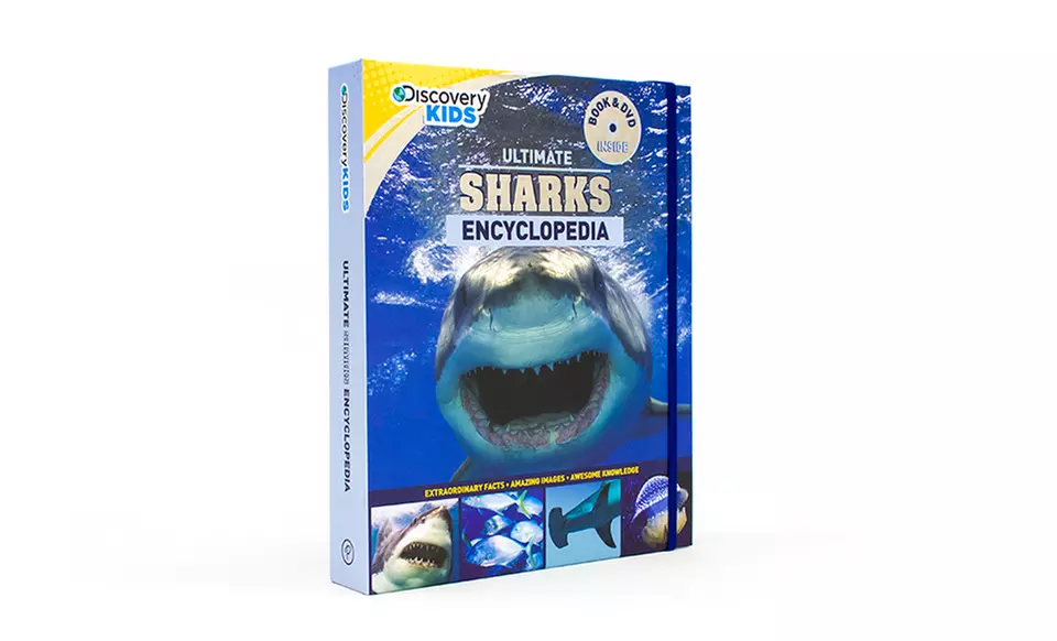 Discovery Kids Ultimate Sharks Encyclopedia Book and DVD - Image 5