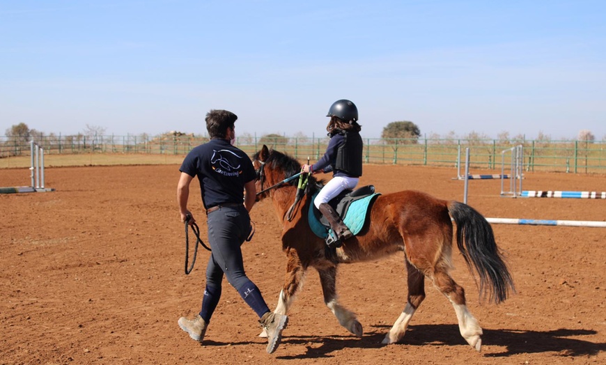 Image 2: Ruta de 1 hora a caballo para hasta 4 personas con opción a iniciación