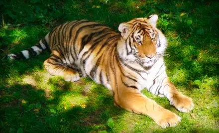 C$109﻿ for a 2013 Family Pass with Unlimited Admission to Bowmanville Zoo ($199 Value) - Primary Image