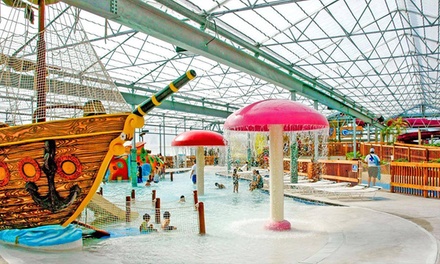 Schlitterbahn Beach Resort and Waterpark | Groupon