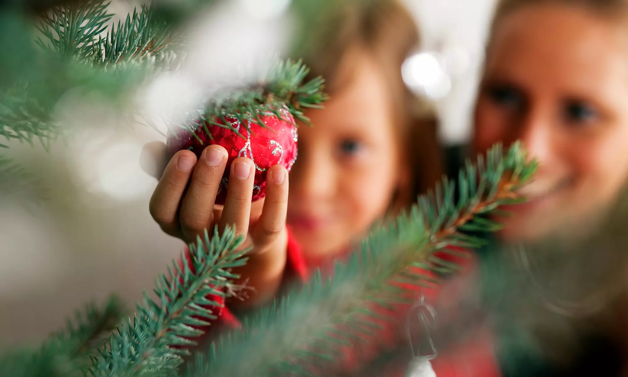 Christmas Tree Village Experience for One, Two, or Four at Mortimer Farms (36% Off) - Primary Image
