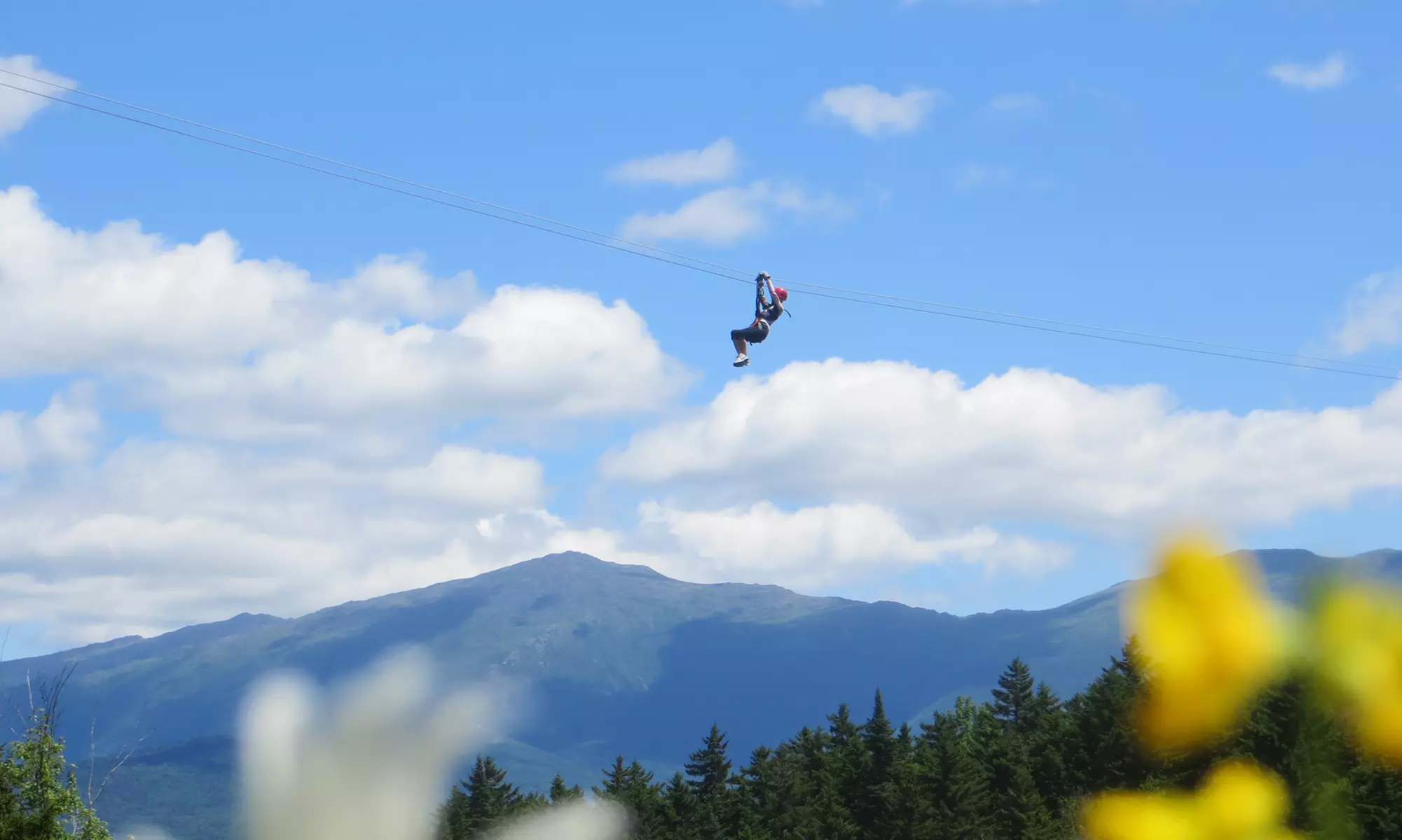 $99 for a Bretton Woods Canopy Tour at Mount Washington Resort ($220 Value)   - Primary Image