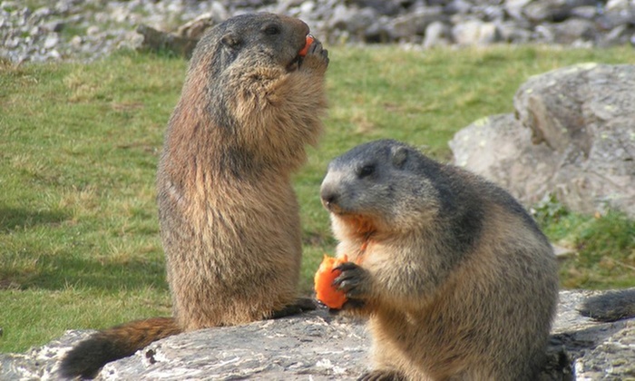 Soigneur animalier pour une journée