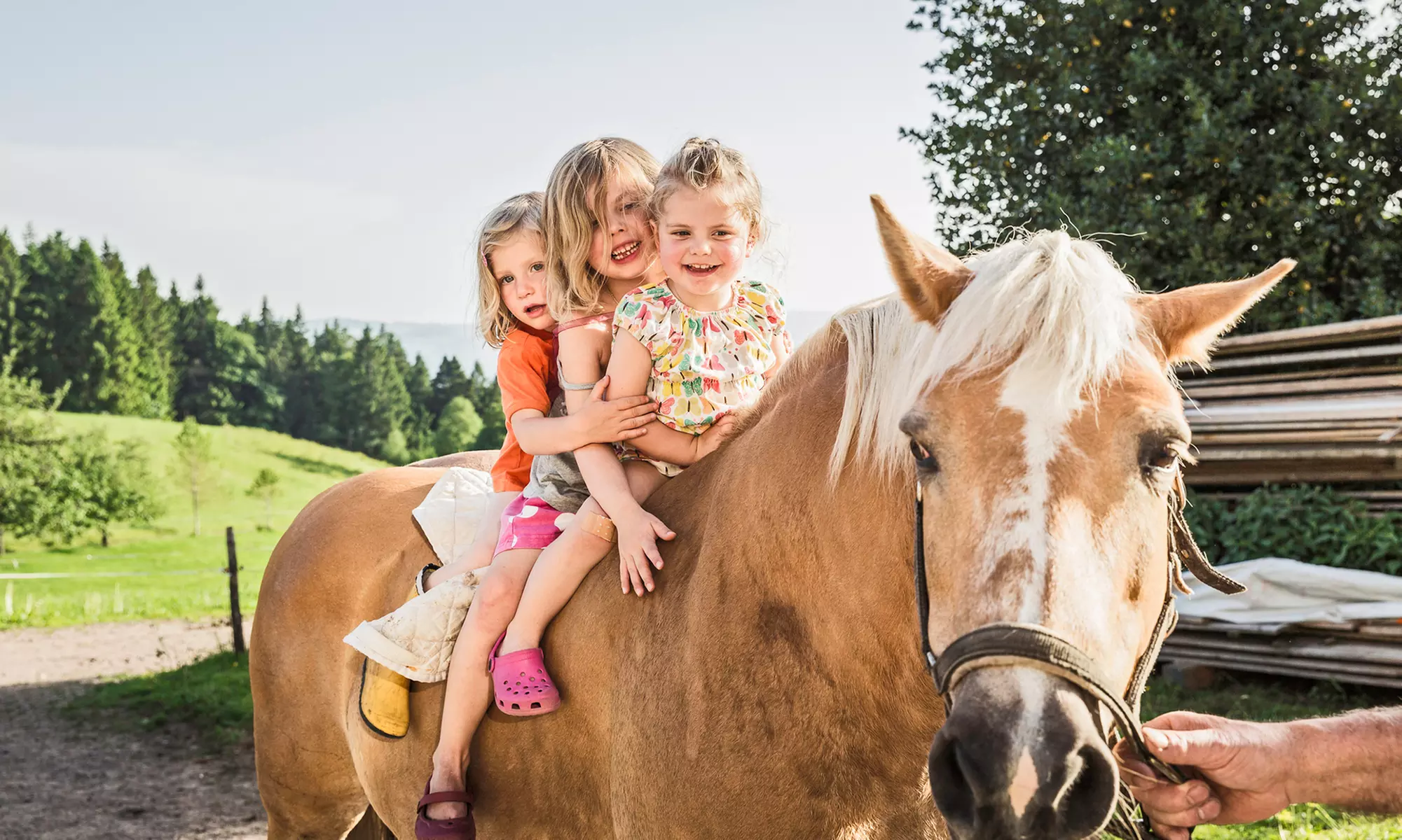 Rauris: 8 Tage für 2-8 Personen im Apartment in der Appartmentanlage Schönblick Mountain Resort - Second Medium