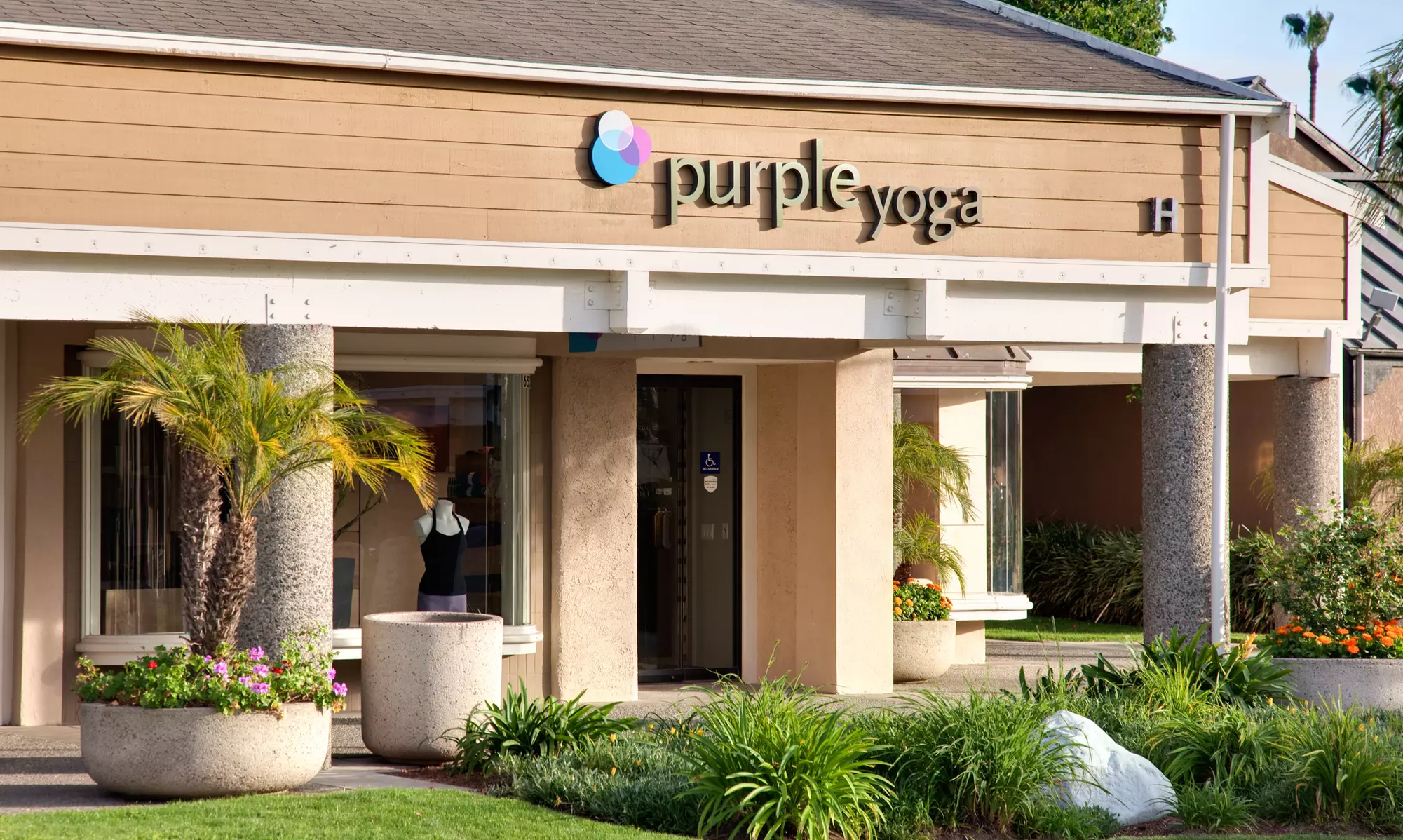 $30 for Three Weeks of Unlimited Yoga Classes at Purple Yoga ($138.75 Value) - Primary Image