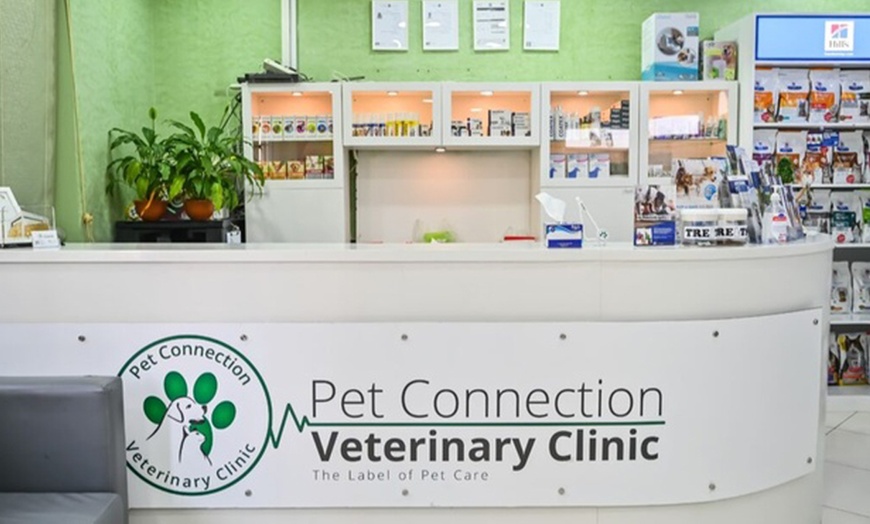 Image 3: Veterinary Examination at Pet Connection Veterinary Clinic