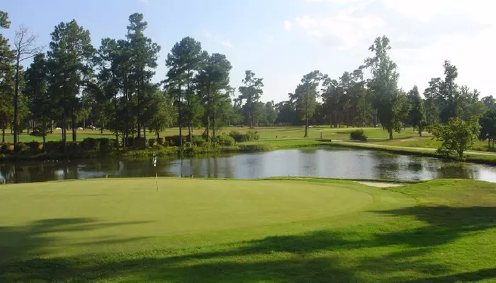 Enjoy up to 47% off at Shannon Greens Golf Club with rounds for 1, 2, or 4 golfers, including cart and practice balls - Primary Image