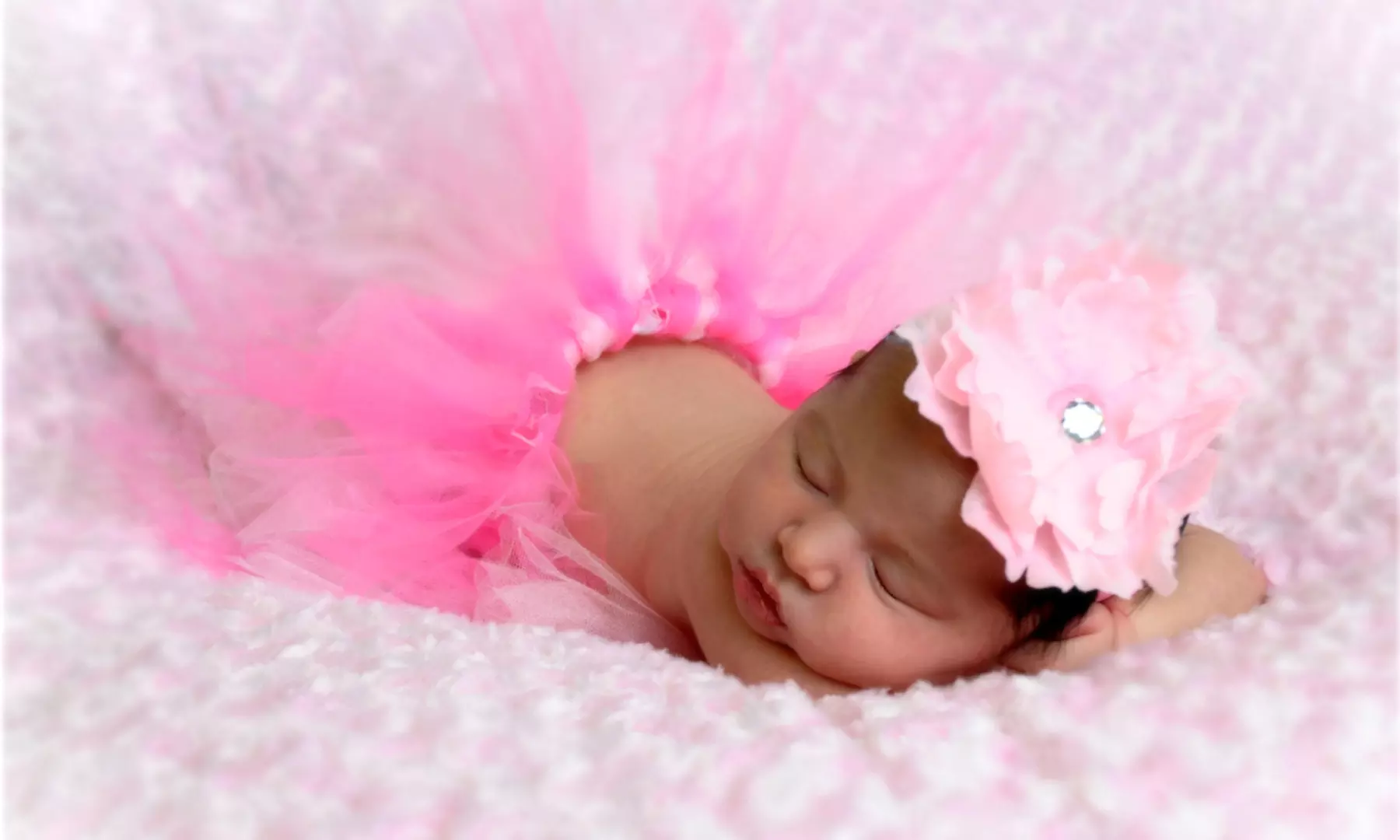 Photo-Shoot Package with Prints from Photography by MTW (Up to 93% Off). Two Options Available.  - Primary Image
