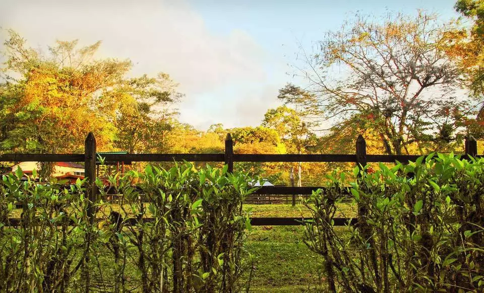 Three-, Four-, or Five-Night Stay at Chachagua Rainforest Hotel & Hacienda in Central Costa Rica - Second Medium