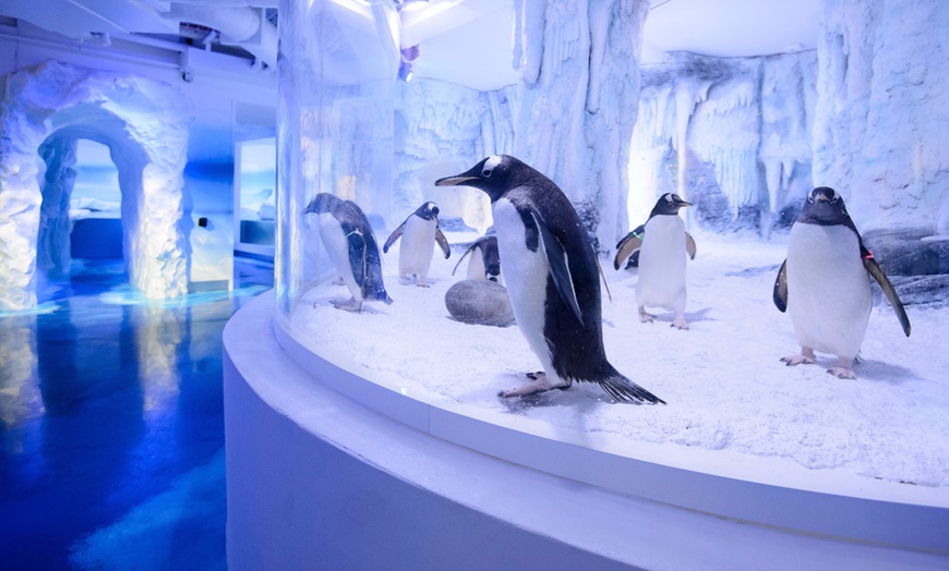 Image 3: London: 1- or 2-Night Break with SEA LIFE London Aquarium Entry