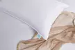 Martha Stewart 100% Cotton White Down Bed Pillow - Second Medium