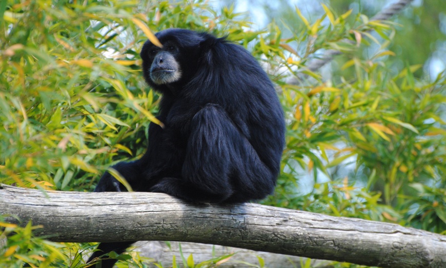 Image 3: Une journée au Zoo Parc de Renou