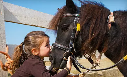 $20 for Day Passes for Two Children and Two Adults at Lemos Farm ($40 Value) - Primary Image