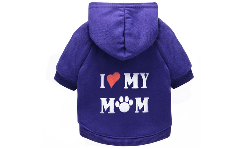 Up To 60% Off Printed Pet Hoodie | Groupon